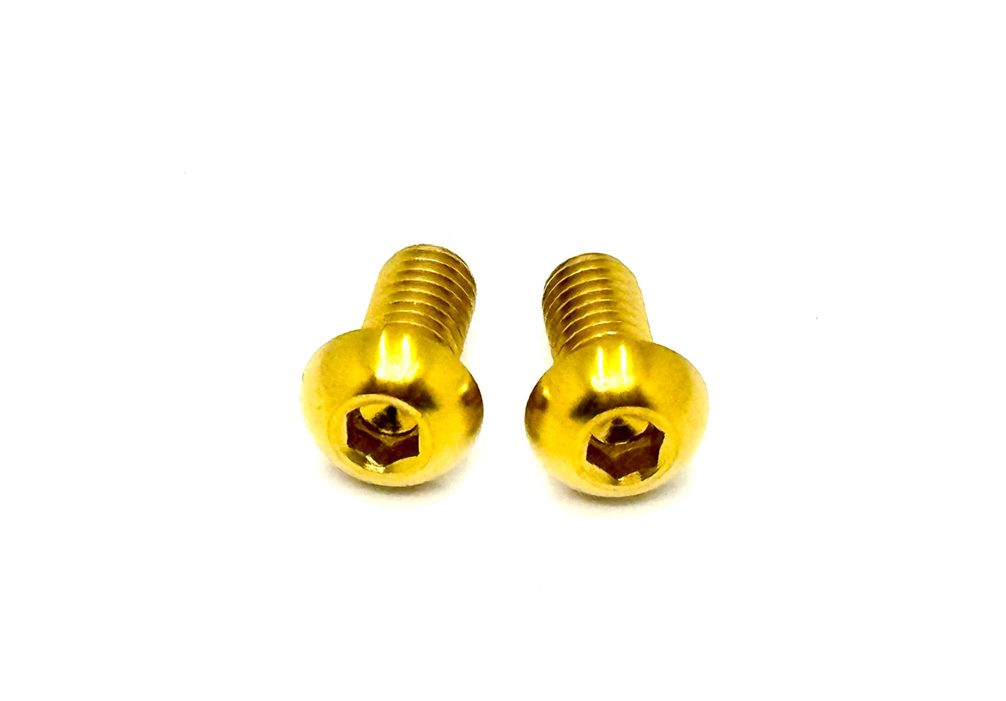 Titanium Ignition Cover Bolts (Set of Two) Surron, Segway, Similar E-moto