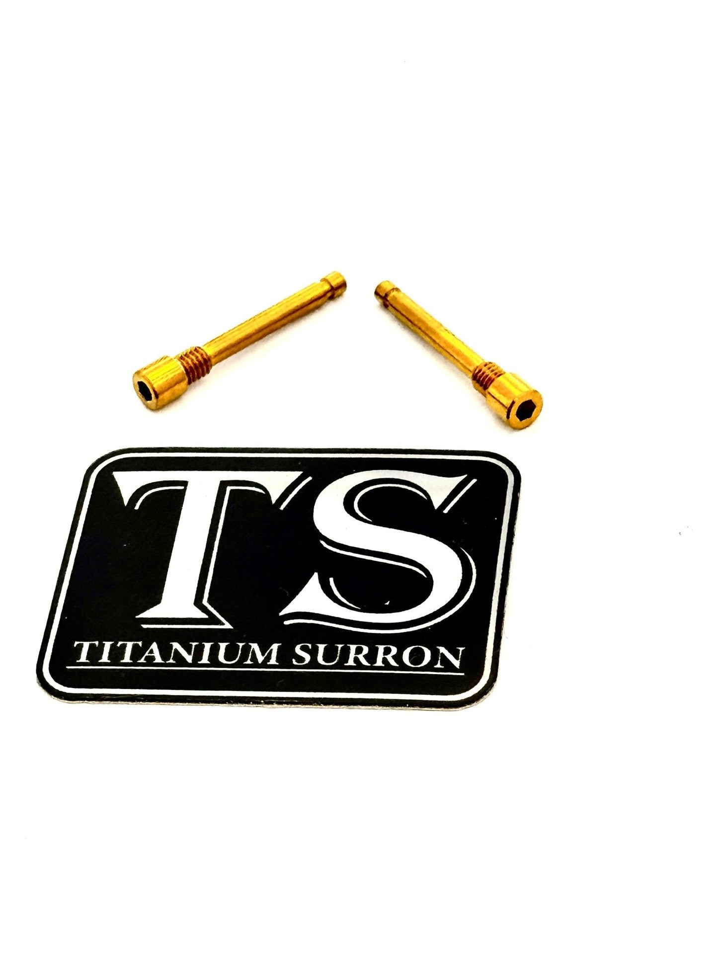 Brake-Pad Screws/ Pins - E-moto (set of two)