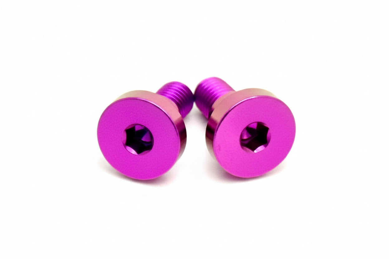 Titanium Battery Lid Bolts - E-Ride Pro -  (Two Pcs)