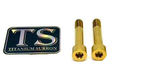 Titanium Motor Bolts - Rerode R1 (4 pcs)